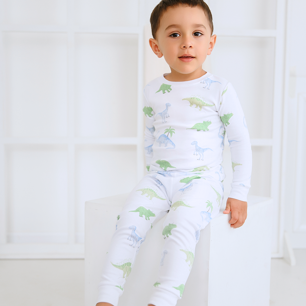 Friendly Dinos Printed Pajama | Boy