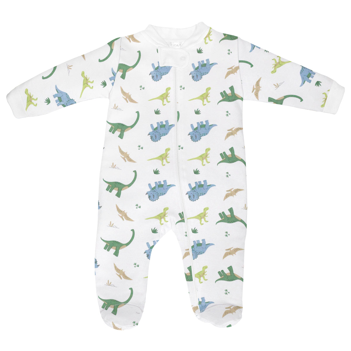 Dino Word Printed Zipper Footie |  Baby Boy