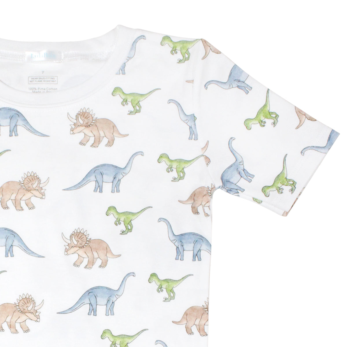 Big Dinos Printed Pajama | Boy