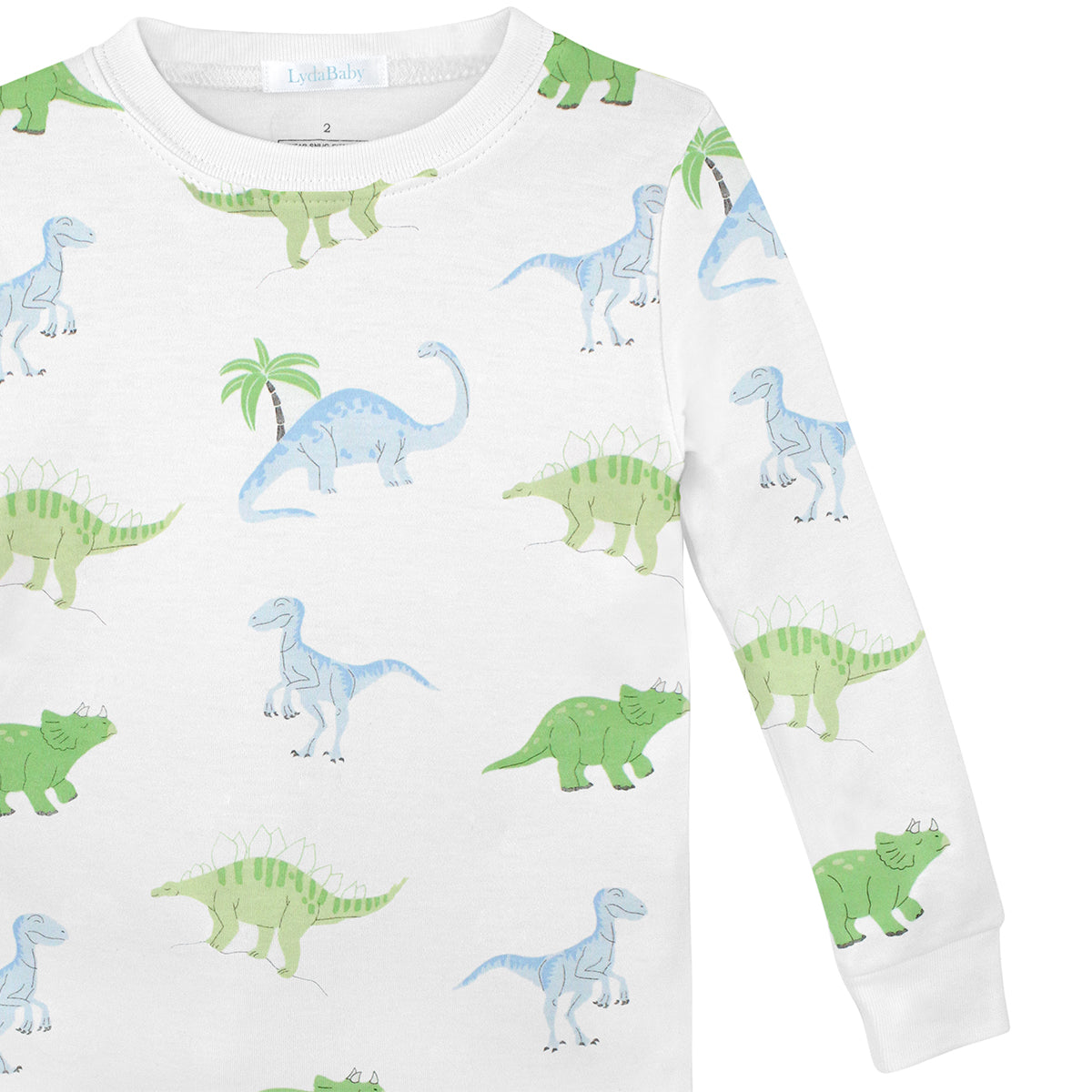 Friendly Dinos Printed Pajama | Boy
