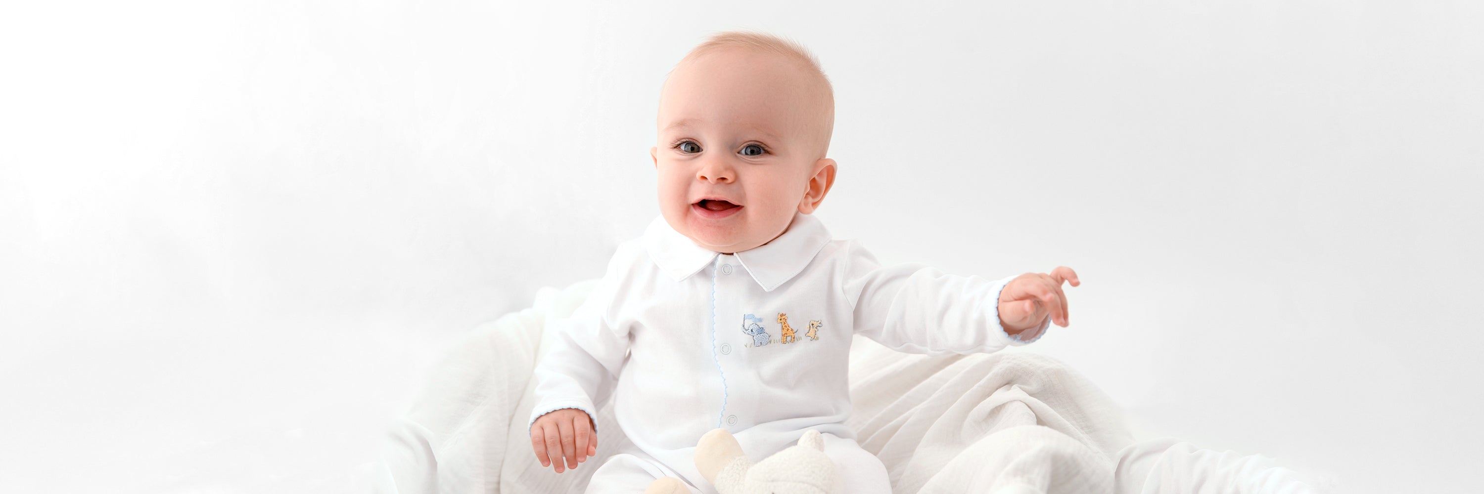 Baby Animals Collection