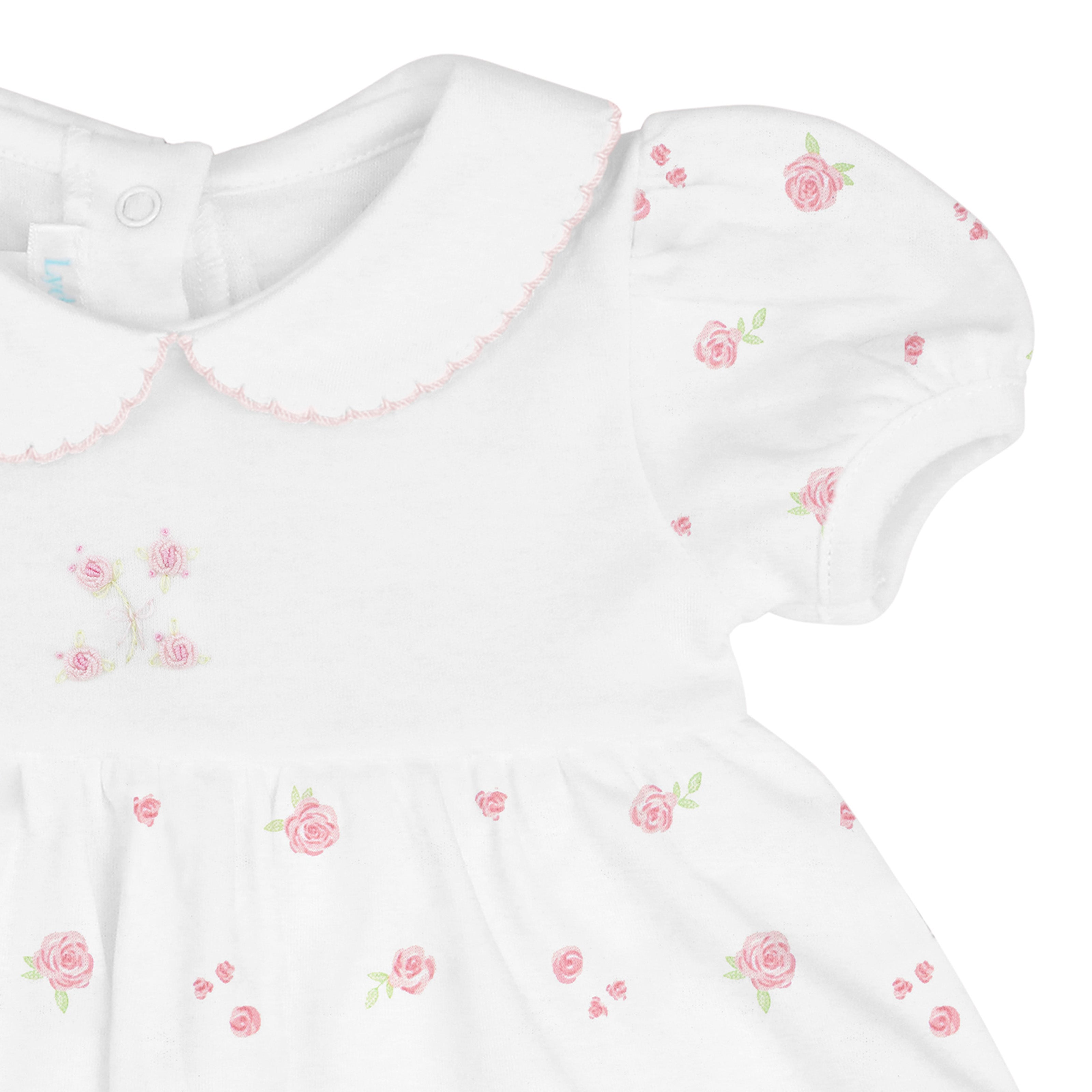 Romantic Roses Printed and Embroidery Dress | Baby Girl