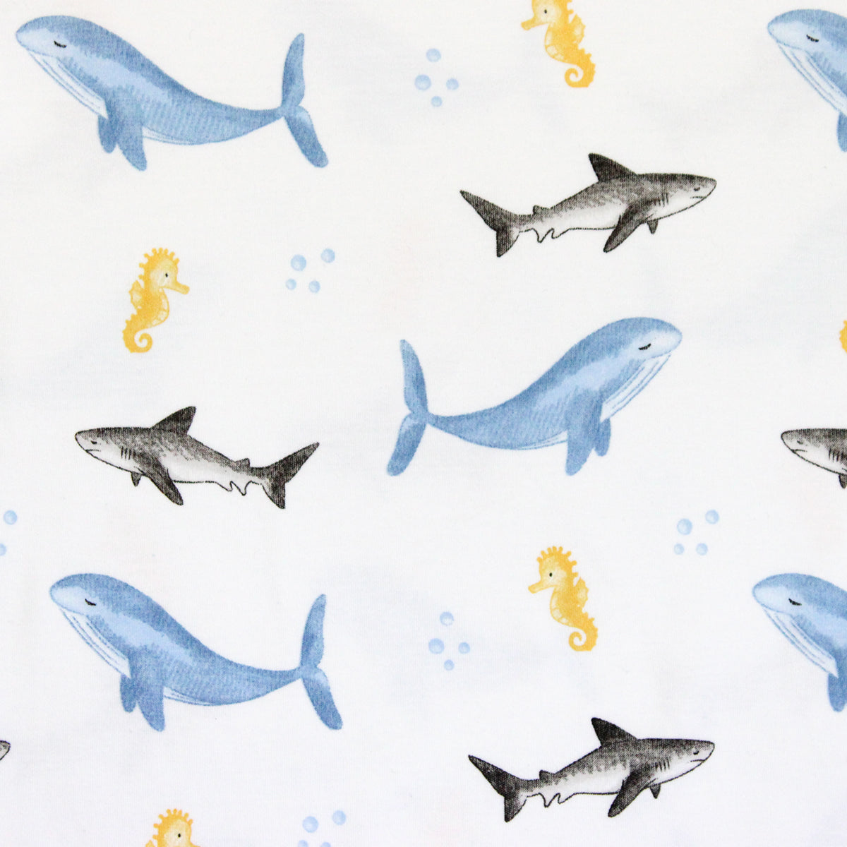 Sea Animals printed Pajama | Boy